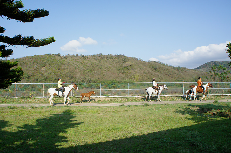 屏東車城住宿|悠客馬場 小木屋+騎馬體驗 渡假氛圍超療癒 - 第18張圖 悠客馬場