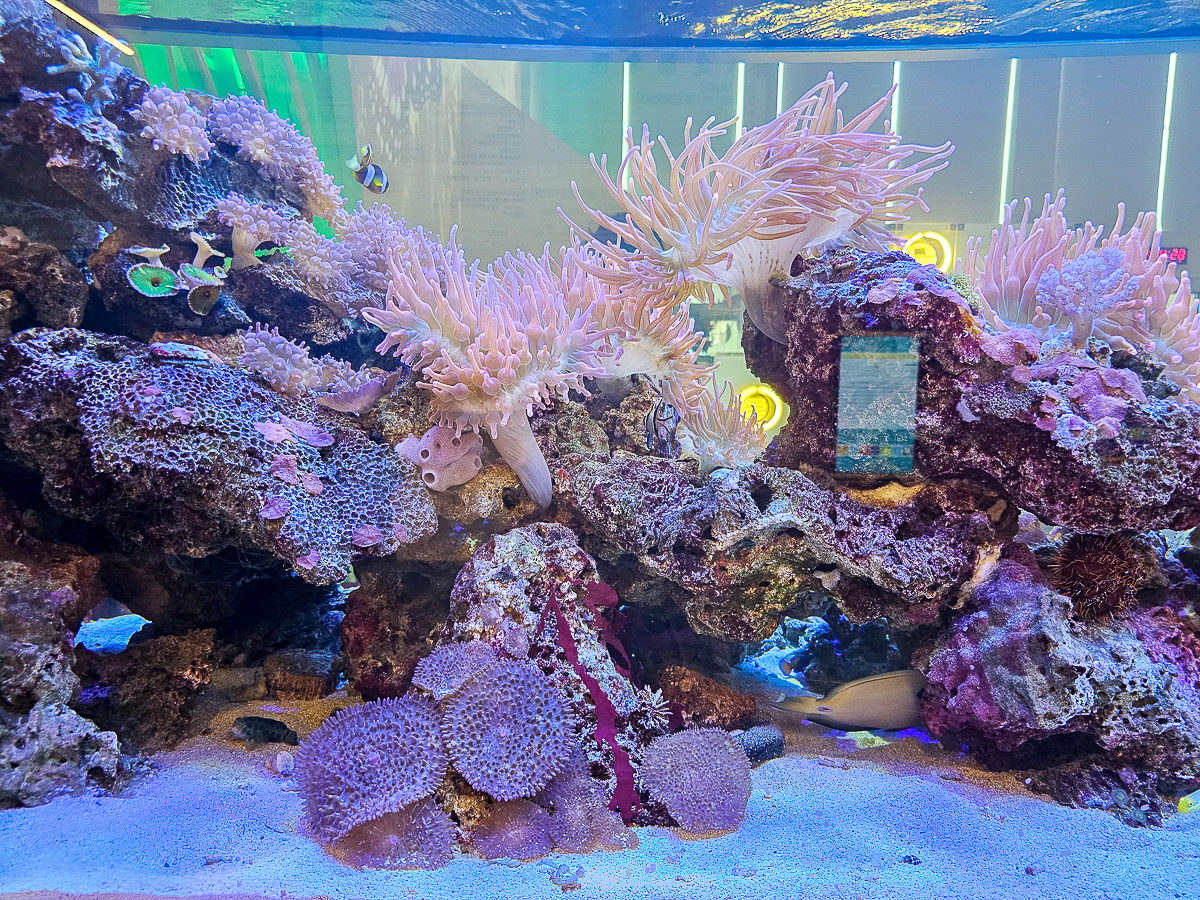 恆春免費景點｜台電南部展示館免費玩！旋轉溜滑梯＋4D電影＋海水淡化冰棒超消暑