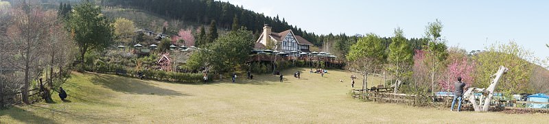 DSC02323