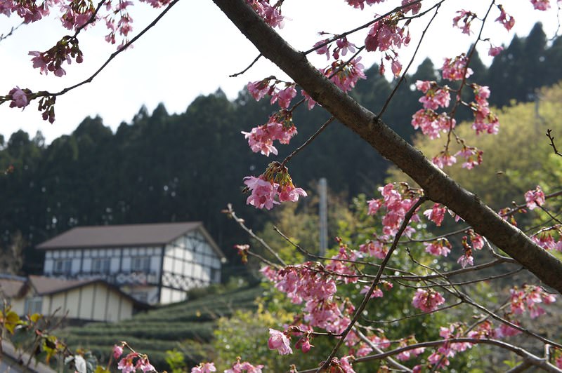 DSC02280