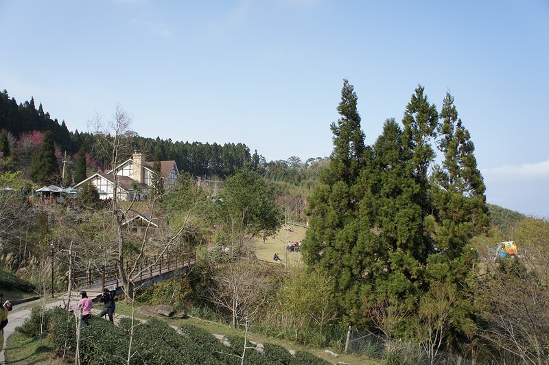 DSC02338