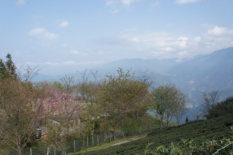 DSC02337