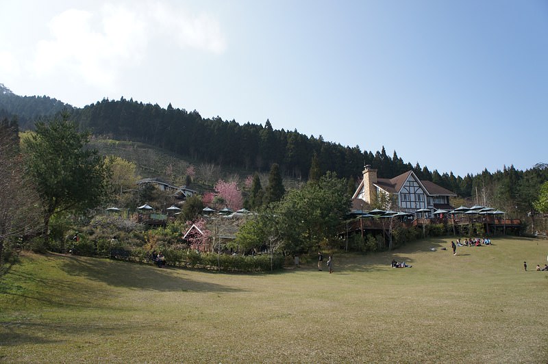 DSC02313