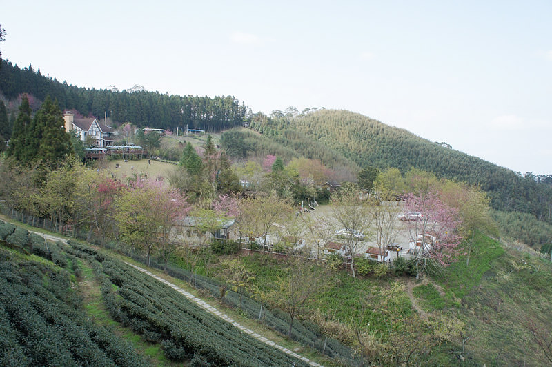 DSC02357
