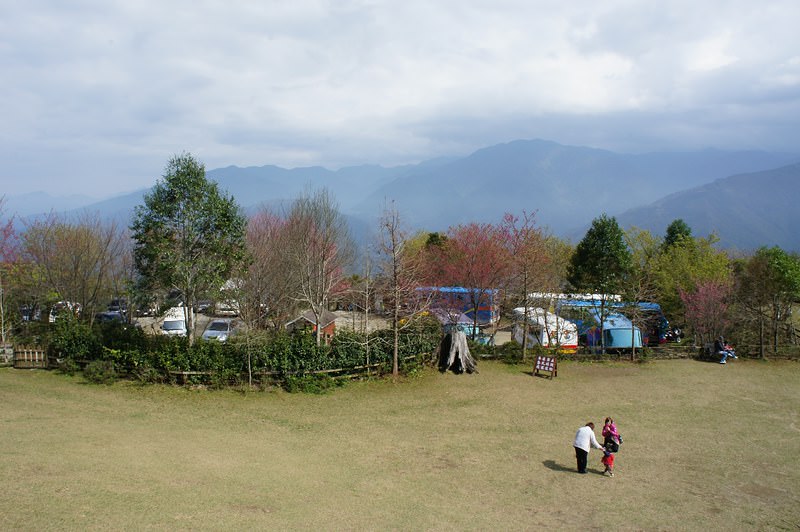 DSC02262