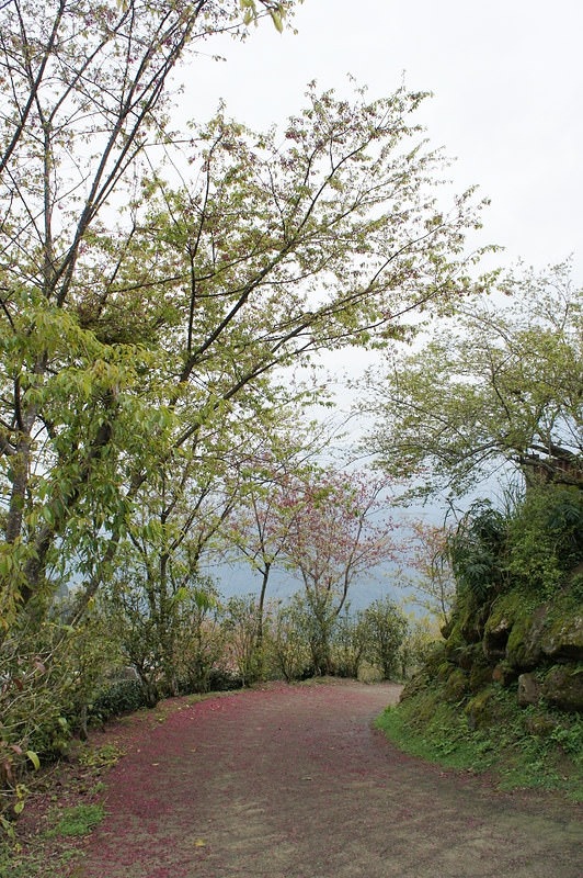 DSC02225