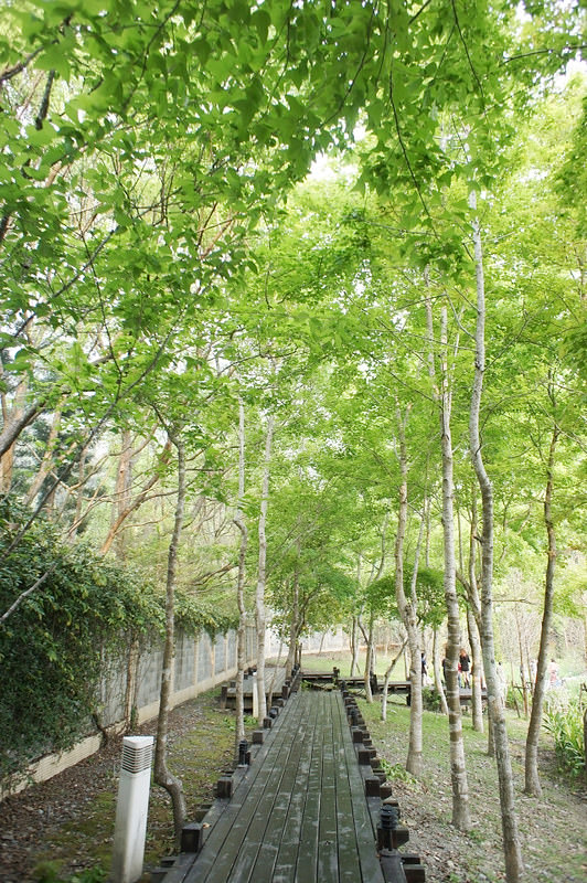 DSC03253