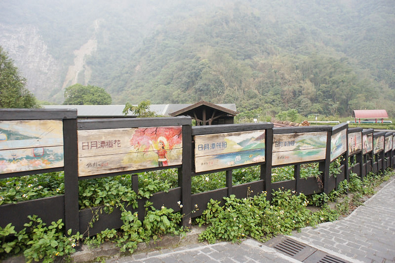 DSC03344