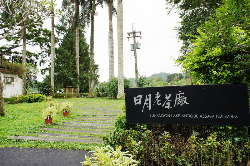 DSC04240