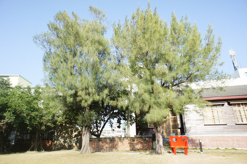 DSC09085