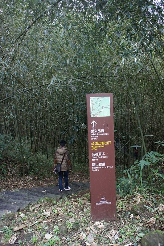 DSC09353