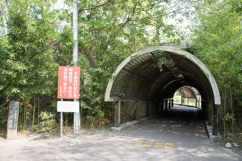 DSC02350