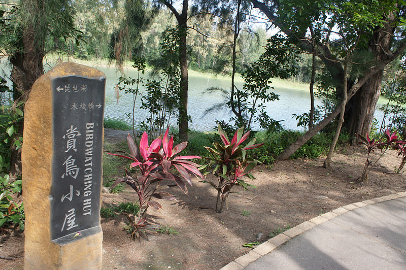 DSC02407