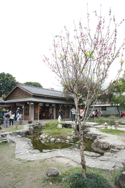DSC01578