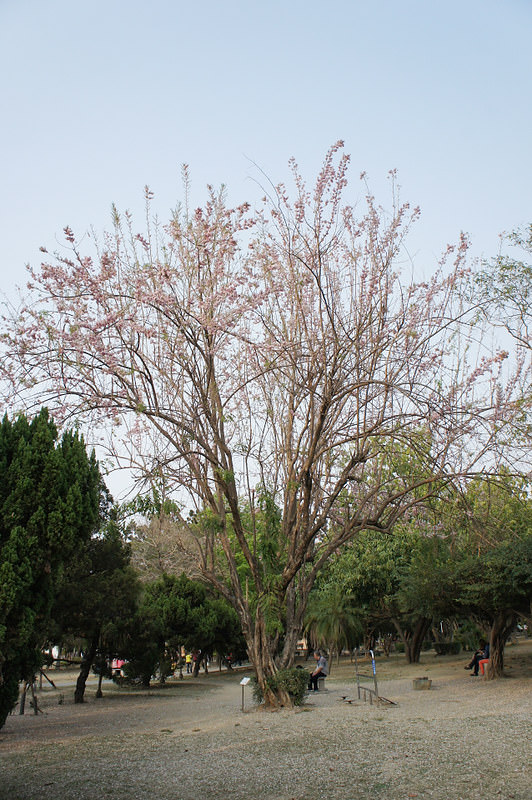 DSC01960