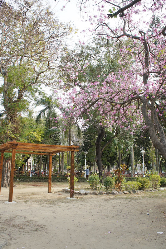DSC01955