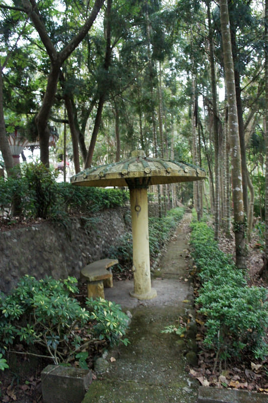 DSC03410