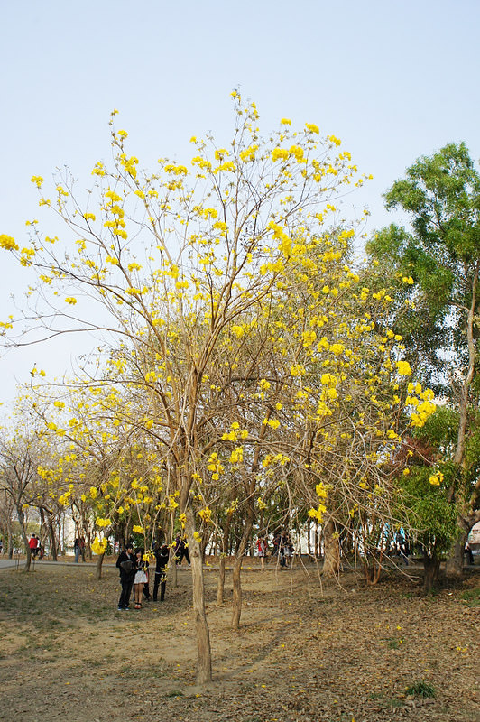 DSC01941