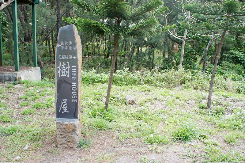 DSC02446