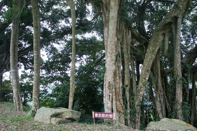DSC02539