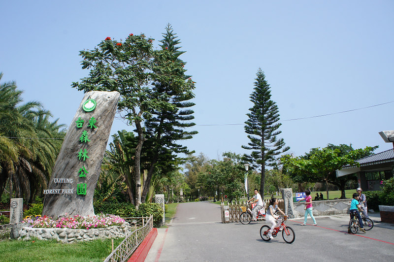 DSC02337