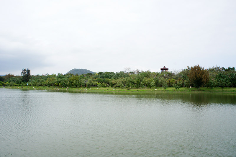 DSC02476