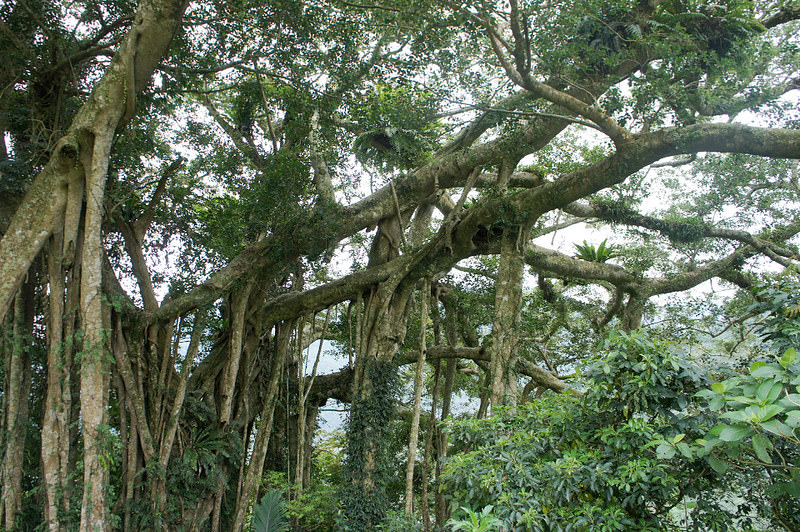 DSC02542