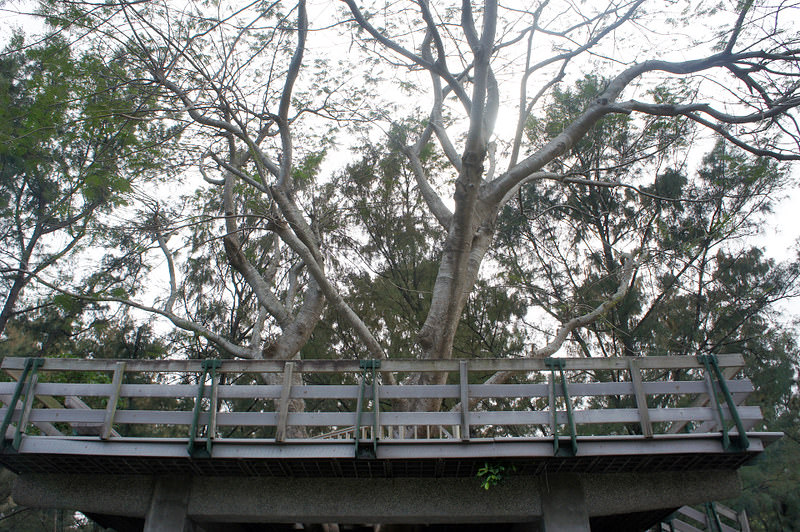 DSC02451