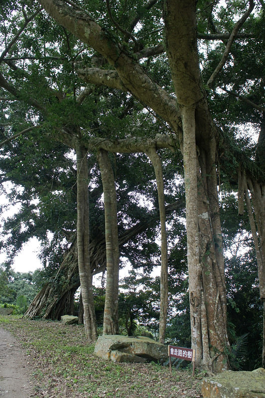 DSC02541