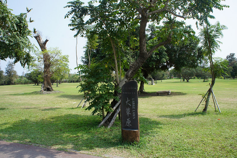DSC02342