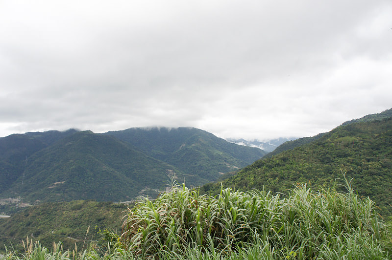 DSC02504