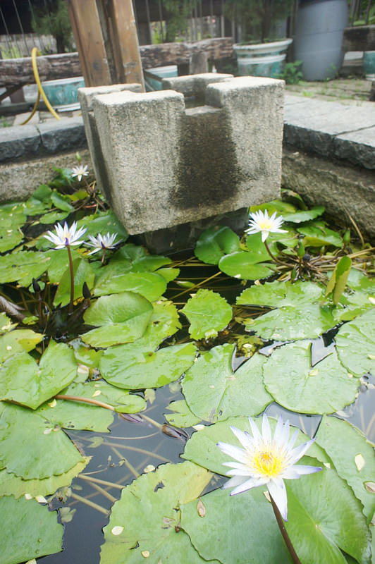 DSC04385