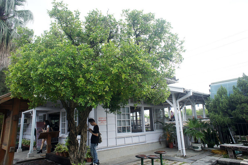 DSC04380