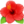 🌺
