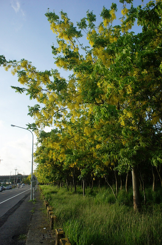 DSC04476