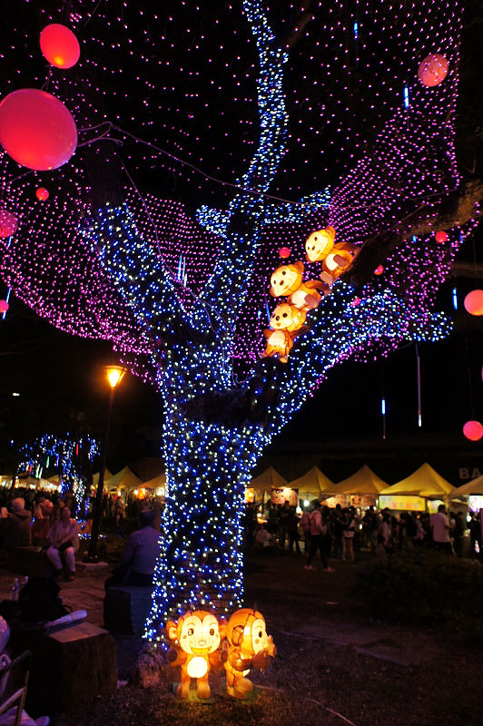 DSC02820
