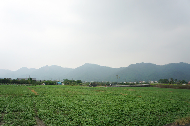 DSC01417