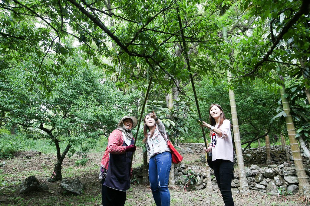 那瑪夏賞螢媒體團花絮集day1王錦河攝_180402_0072