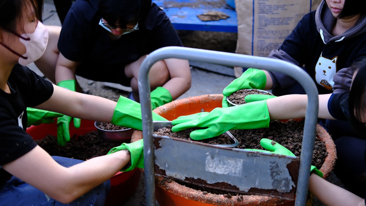 浪愛集食｜捐糧不捐款送愛到狗園，每個月定時付出，讓浪浪有個安穩的避風港可以溫飽肚子
