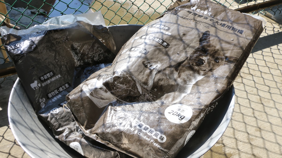 浪愛集食｜捐糧不捐款送愛到狗園，每個月定時付出，讓浪浪有個安穩的避風港可以溫飽肚子