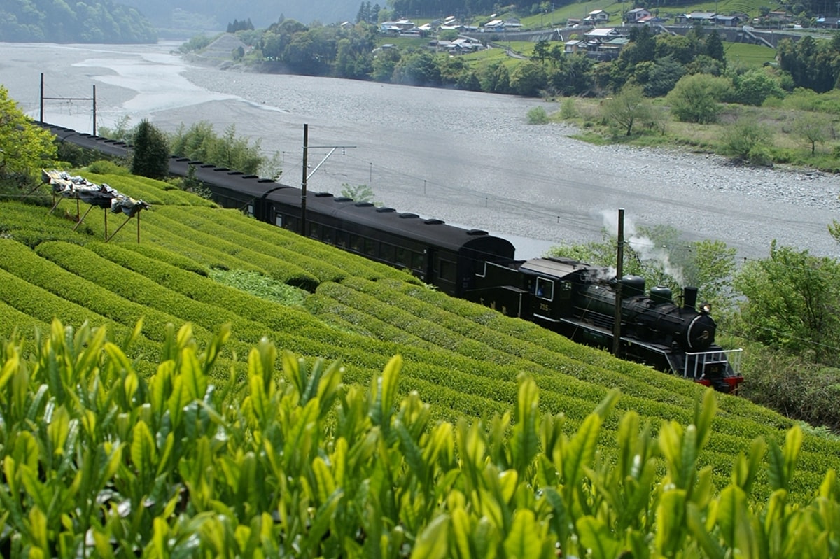 一秒飛日本喝抹茶！佐藤園｜日本靜岡抹茶粉/焙茶粉 烘焙甜點、加牛奶、優格都好吃，抹茶控必收藏，2024靜岡FAIR