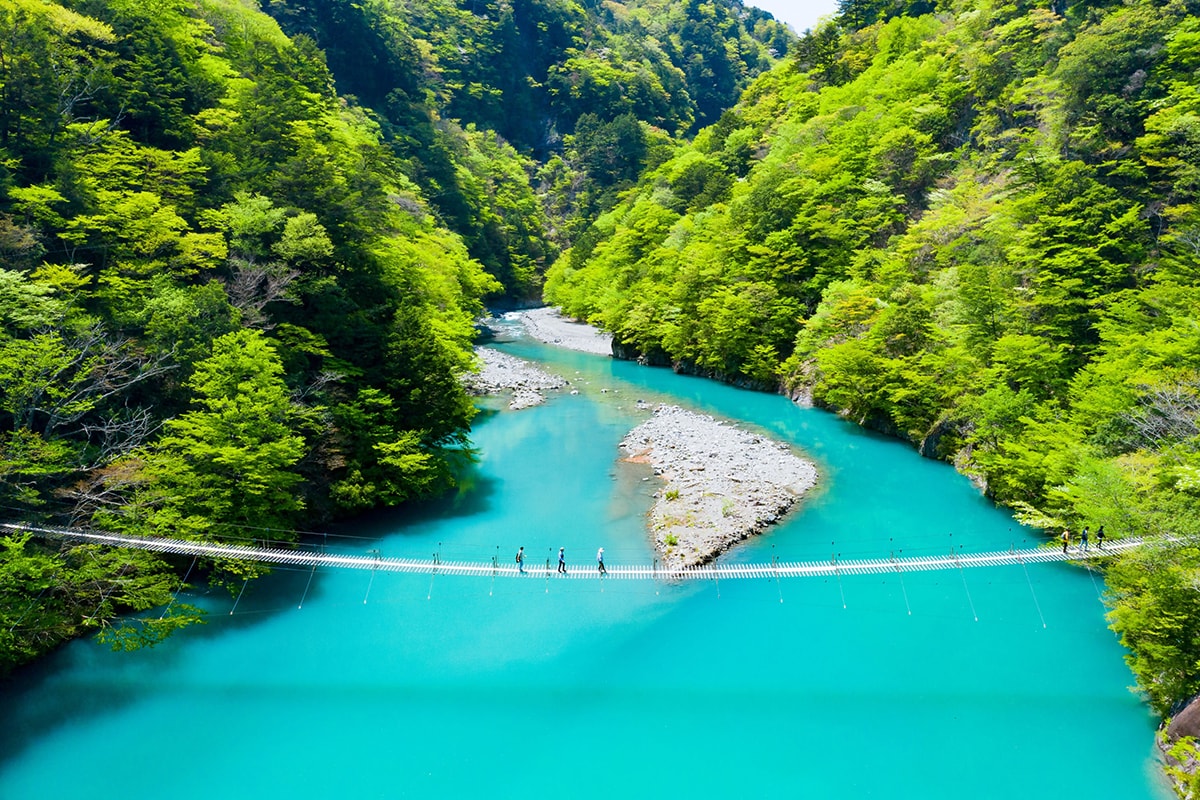 一秒飛日本喝抹茶！佐藤園｜日本靜岡抹茶粉/焙茶粉 烘焙甜點、加牛奶、優格都好吃，抹茶控必收藏，2024靜岡FAIR