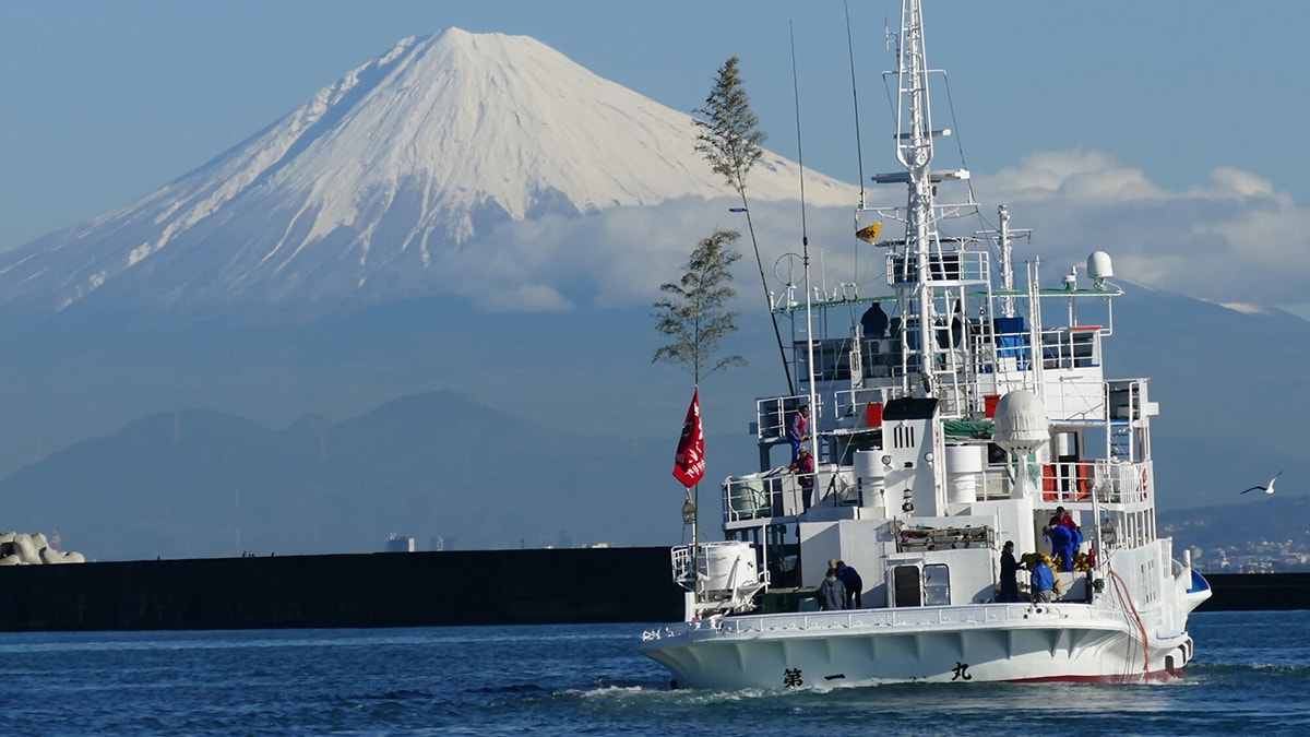 一秒飛日本喝抹茶！佐藤園｜日本靜岡抹茶粉/焙茶粉 烘焙甜點、加牛奶、優格都好吃，抹茶控必收藏，2024靜岡FAIR