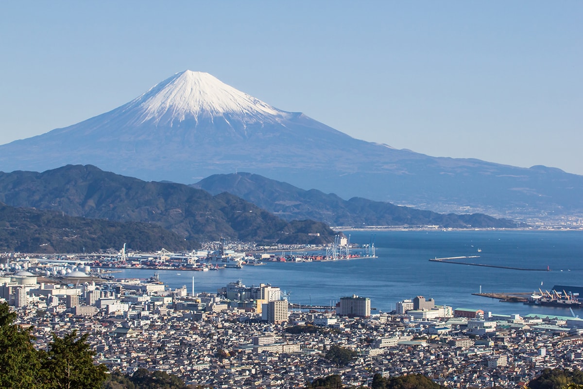 一秒飛日本喝抹茶！佐藤園｜日本靜岡抹茶粉/焙茶粉 烘焙甜點、加牛奶、優格都好吃，抹茶控必收藏，2024靜岡FAIR