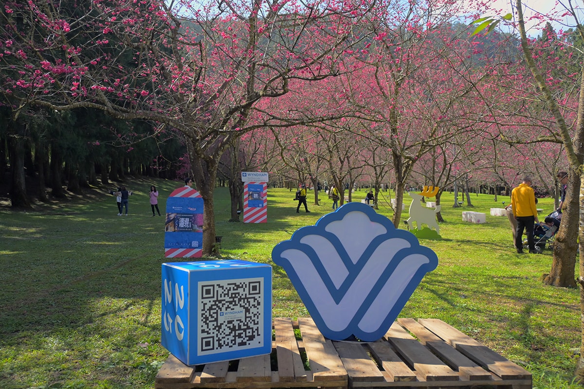 南投住宿｜日月潭力麗溫德姆溫泉酒店 九族賞櫻趣住房專案，泡湯賞櫻花漫遊伊達邵