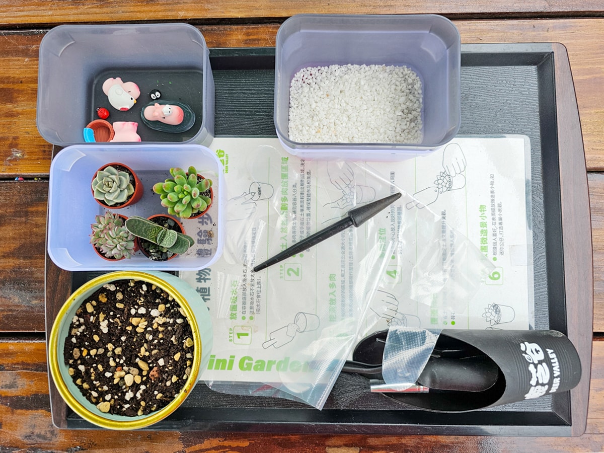 鹿谷最新景點推薦!鹿芝谷生態景觀園區 超萌水豚君、多肉DIY、下午茶|適合親子旅遊、寵物友善可牽繩入園 - 第50張圖