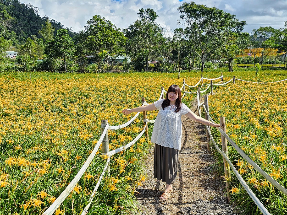 2025赤科山最新花況｜汪家古厝 吃金針花大餐、看曬金針花、買伴手禮、滿山滿谷的金黃花毯超耀眼！