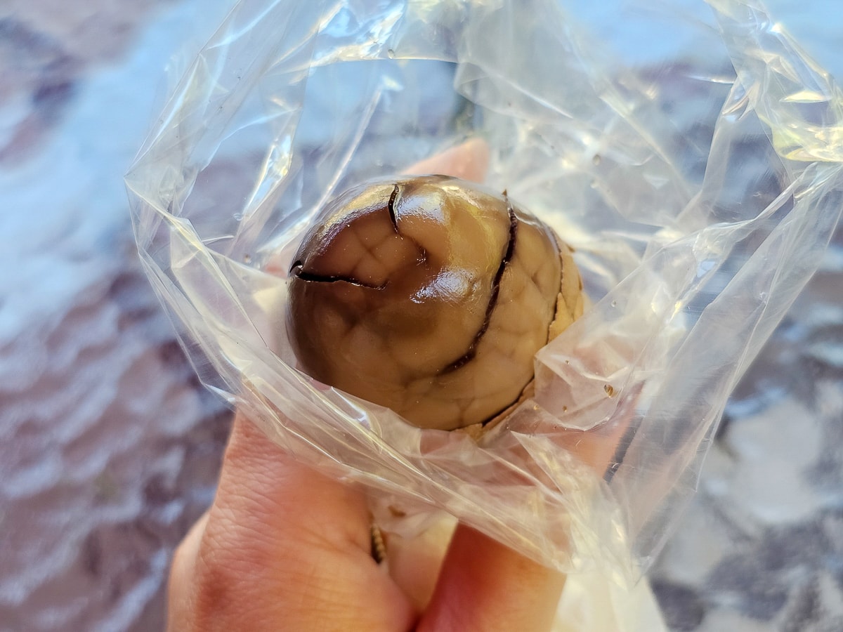 梅子夢工廠 