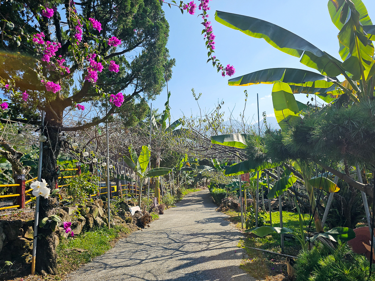 南投免門票觀光工廠|Jijibanana 集元果觀光工廠/休閒農場,集集山蕉超好吃 - 第3張圖 南投免門票觀光工廠|Jijibanana 集元果觀光工廠/休閒農場,集集山蕉超好吃