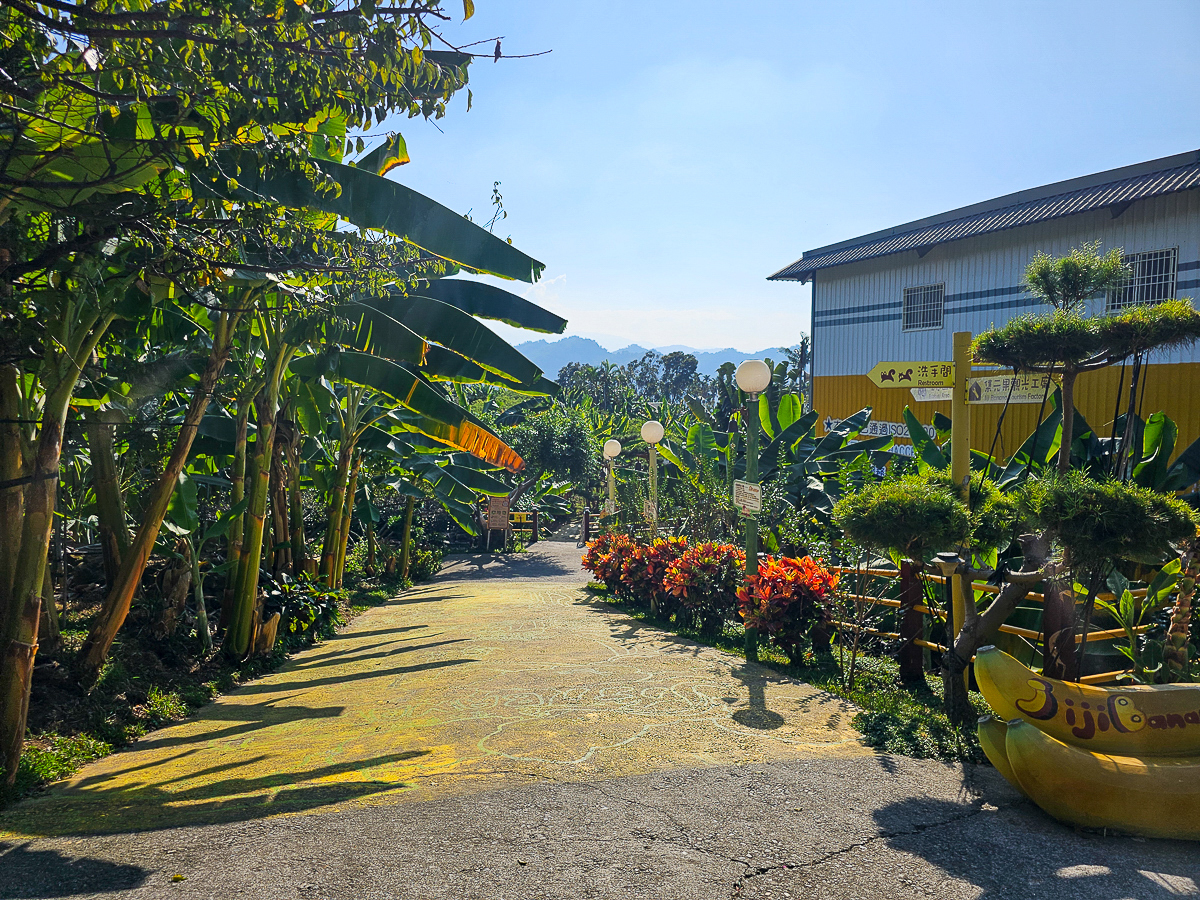 南投免門票觀光工廠|Jijibanana 集元果觀光工廠/休閒農場,集集山蕉超好吃 - 第4張圖 南投免門票觀光工廠|Jijibanana 集元果觀光工廠/休閒農場,集集山蕉超好吃